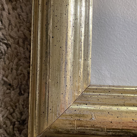 Picture w/ Gold Frame - Picture 3 of 4